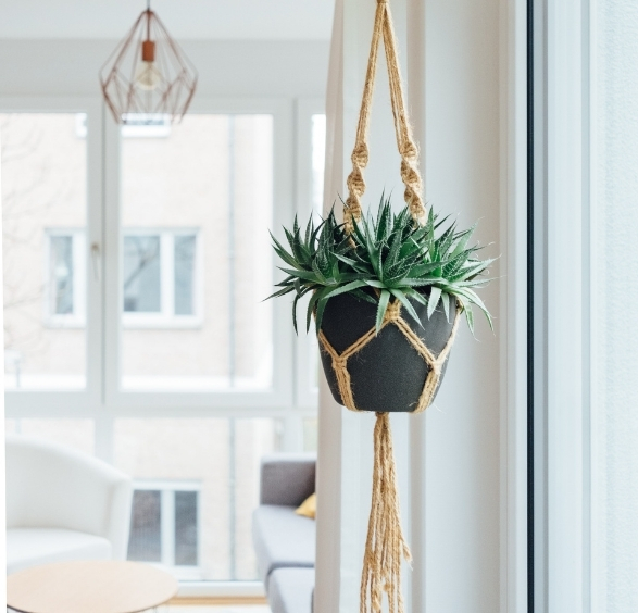 Plante grasse en pot suspendue en macramé devant une baie vitrée lumineuse