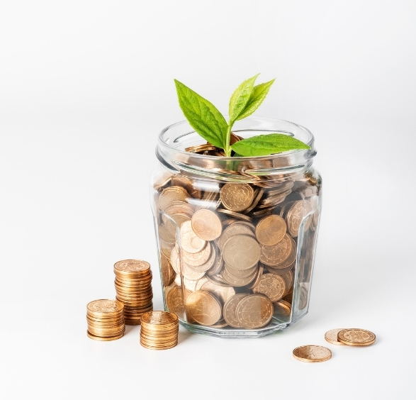 Bocal en verre rempli de pièces de monnaie avec une jeune pousse verte pour illustrer une solution de financement en 24 fois sans frais et la croissance de l'épargne.